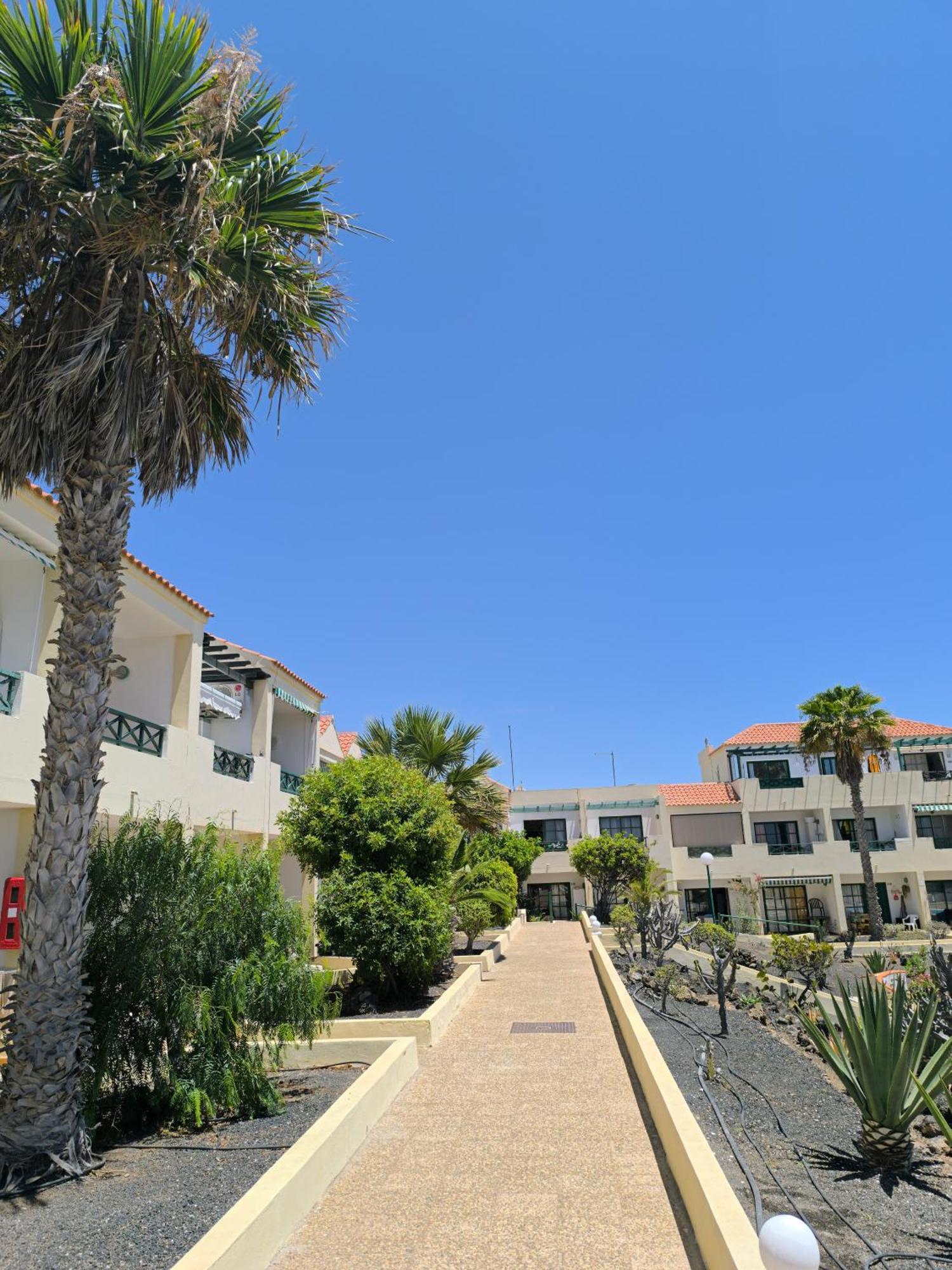 Casa Las Torres 209 Costa De Antigua Eksteriør billede